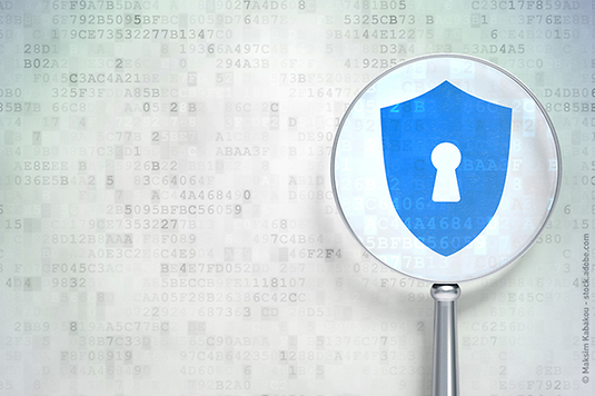 security-shield-im-netzwerk