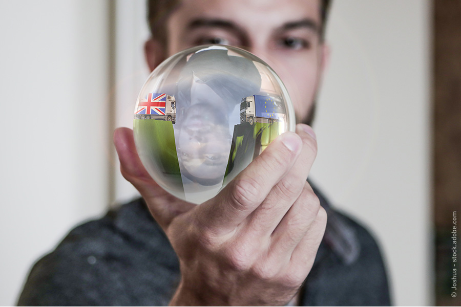 A young man looks into a crystal ball in his hand. It shows a lorry with a British flag and a lorry with a European flag, there