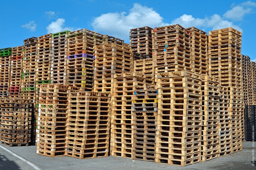 cannot-see-the-wood-for-the-euro-pallets